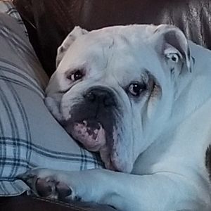 Meet your Posher, Kerri